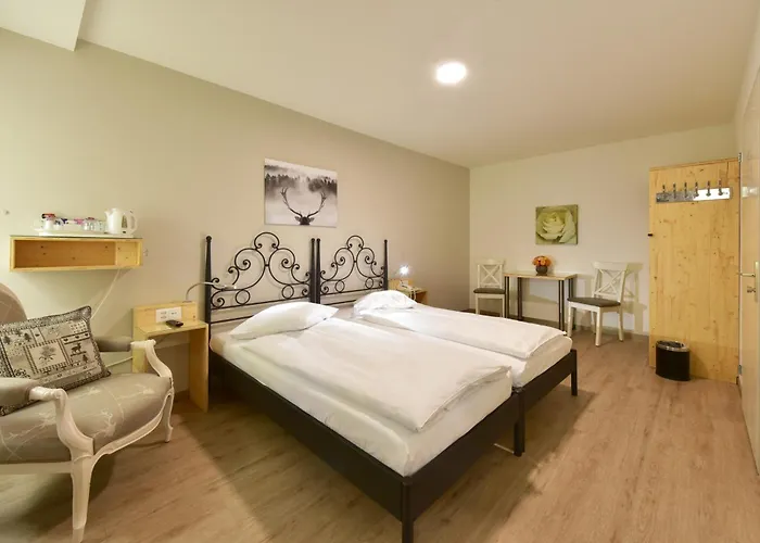 Hotel Hirschen Zurigo